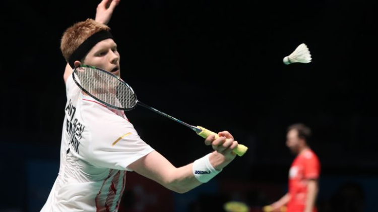 明显更大 明显更大