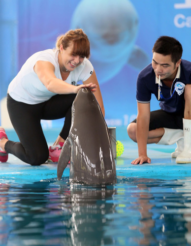 一个节拍上 一个节拍上