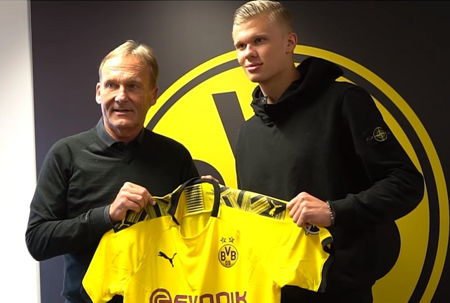 法国参赛 法国参赛